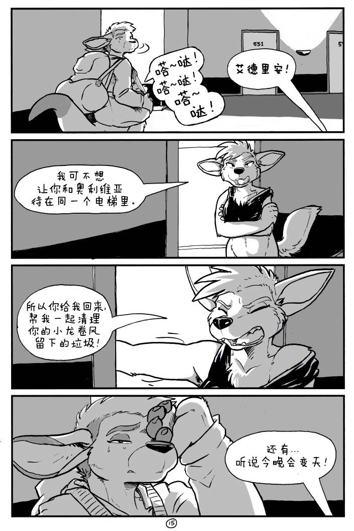 第16页