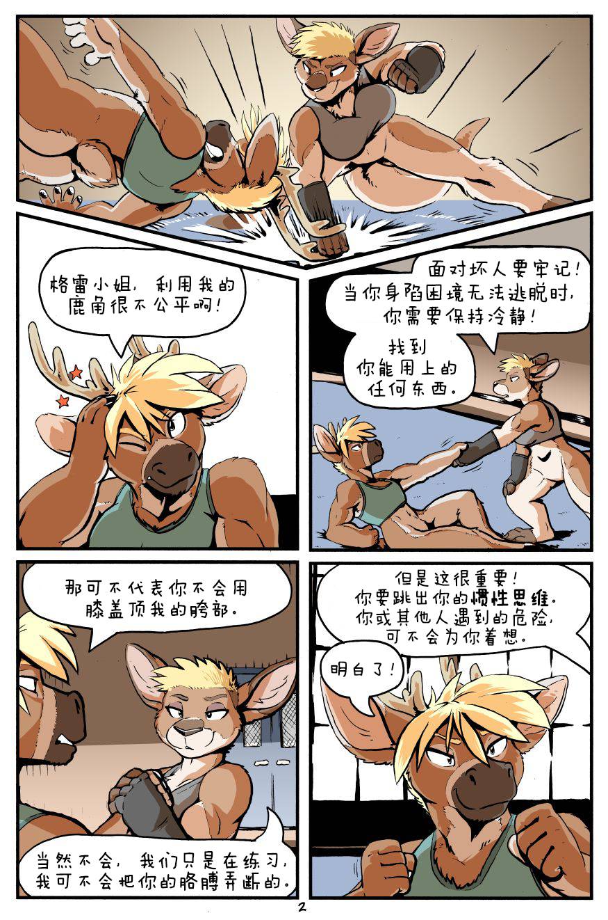 第3页