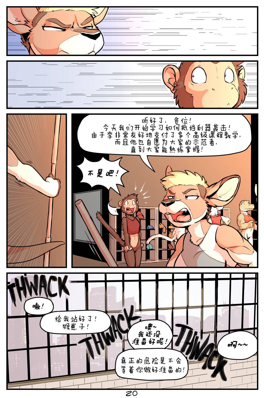 第21页