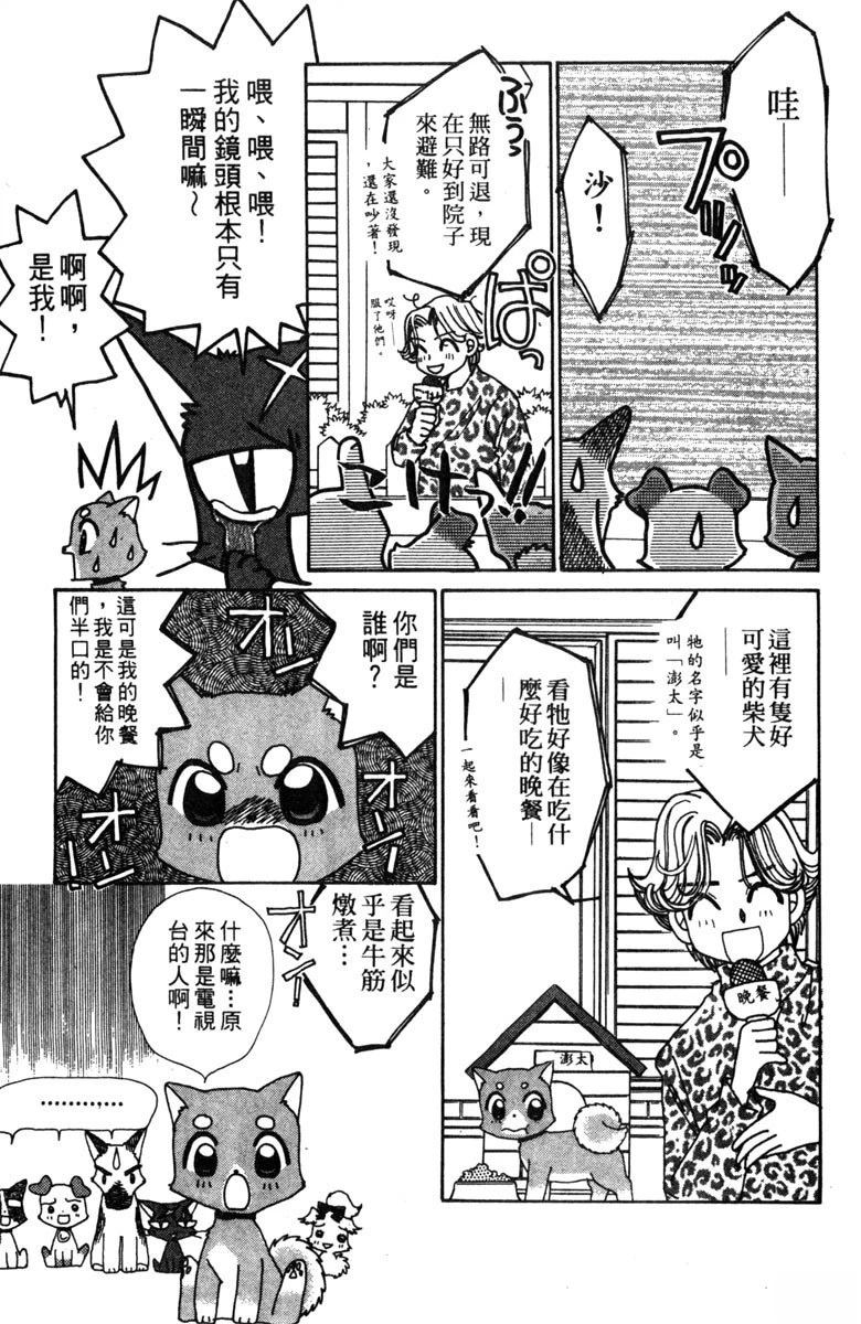 第127页