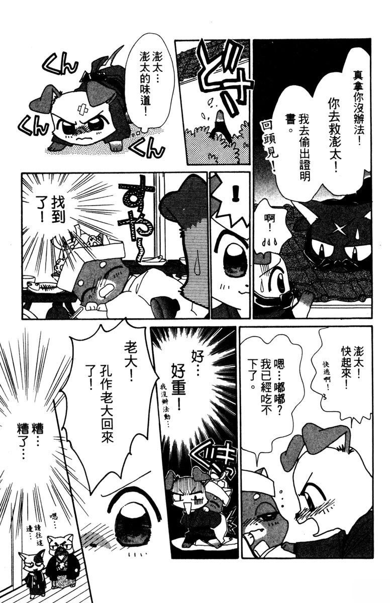 第175页