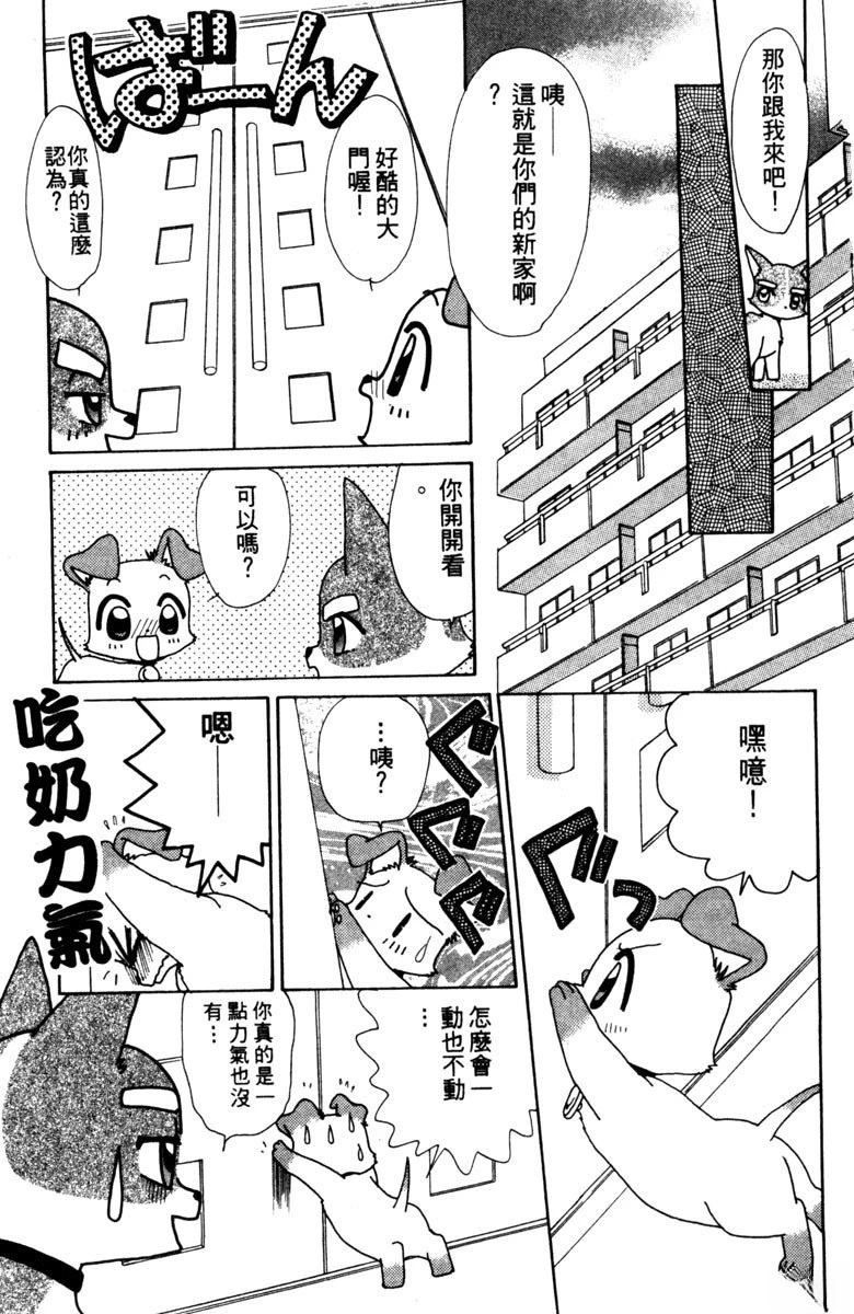 第47页