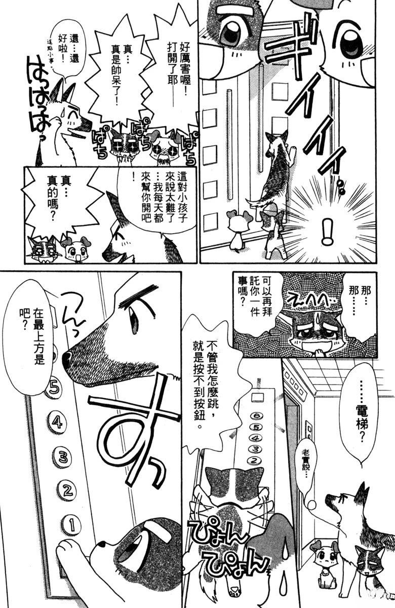 第51页