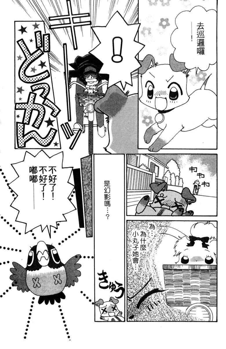 第61页