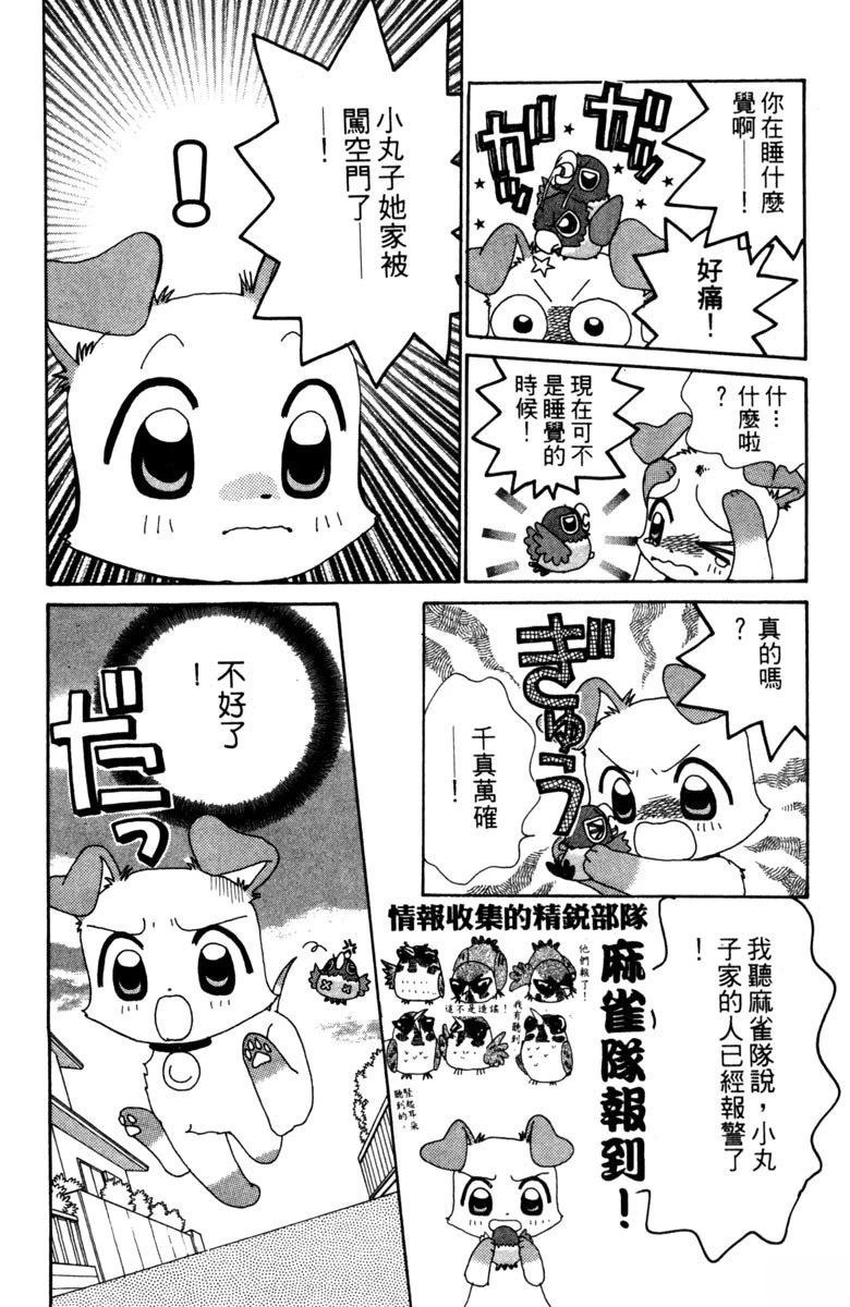 第62页
