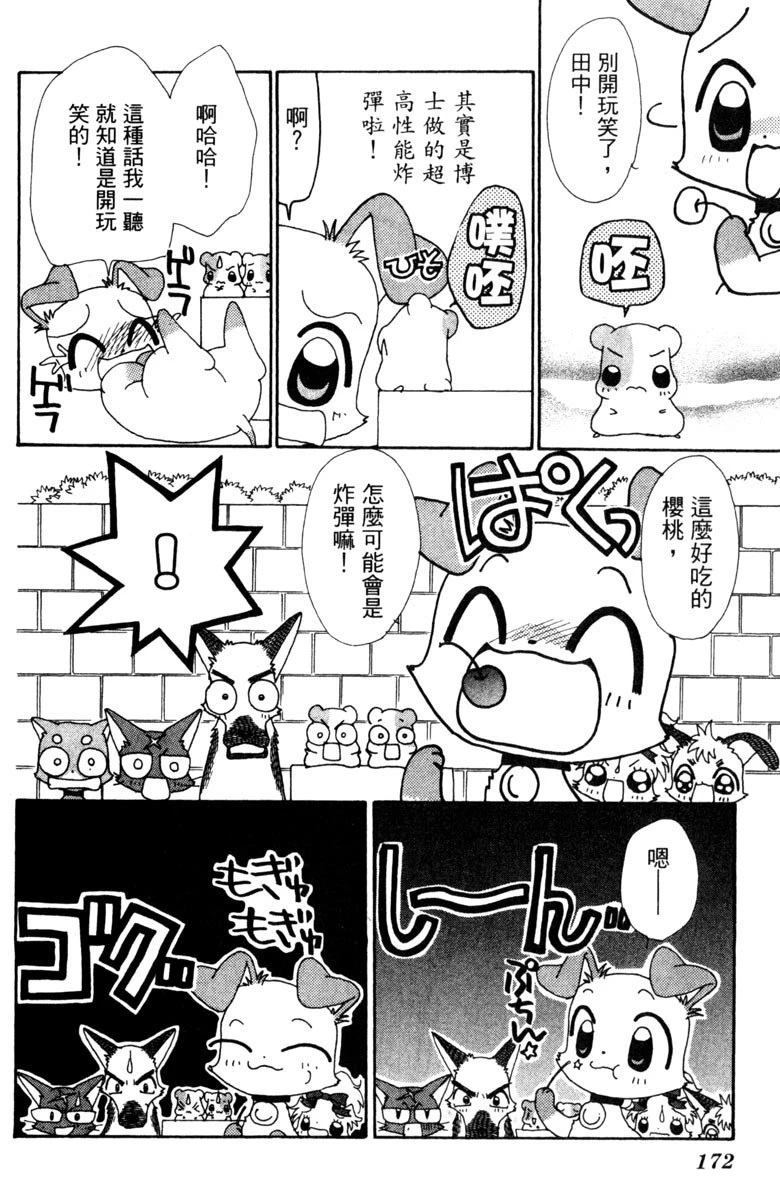 第172页