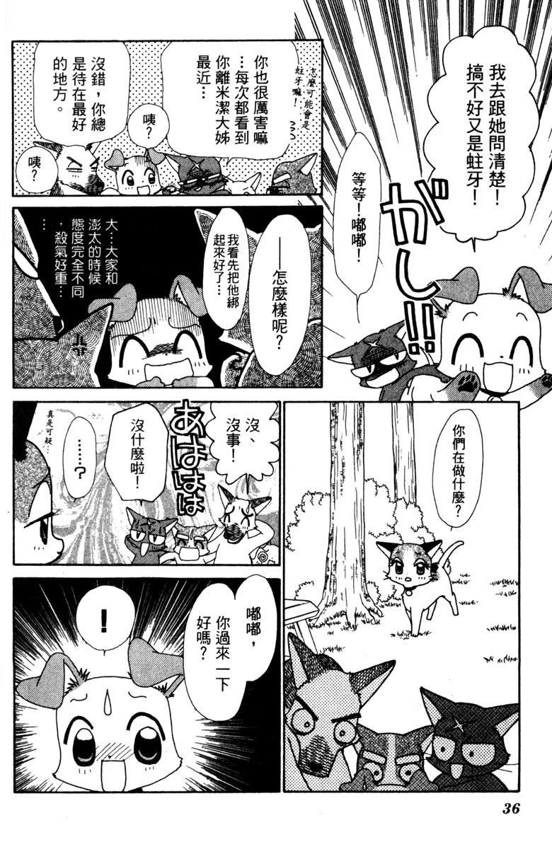 第36页