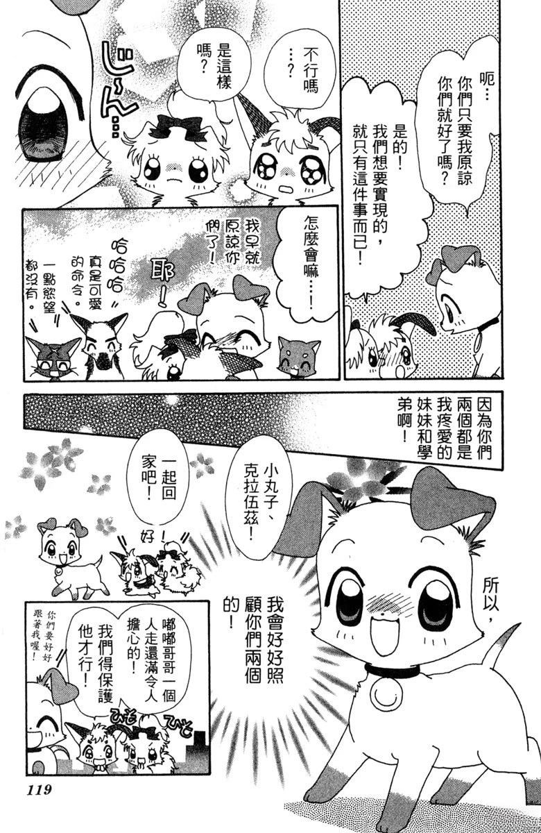 第121页