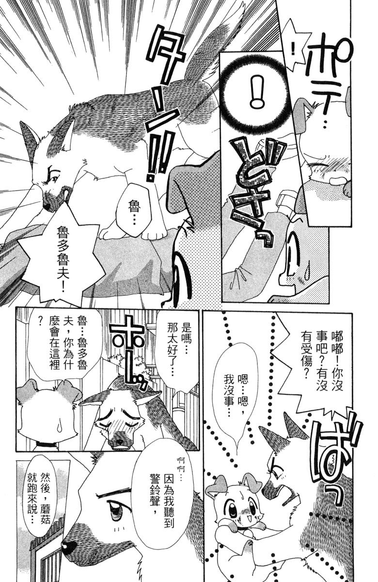 第117页