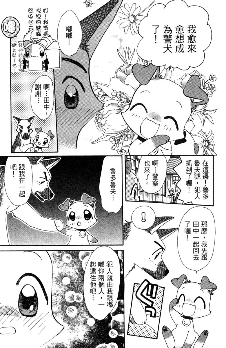 第119页