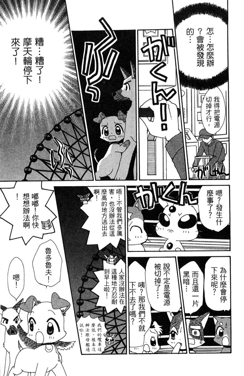 第51页