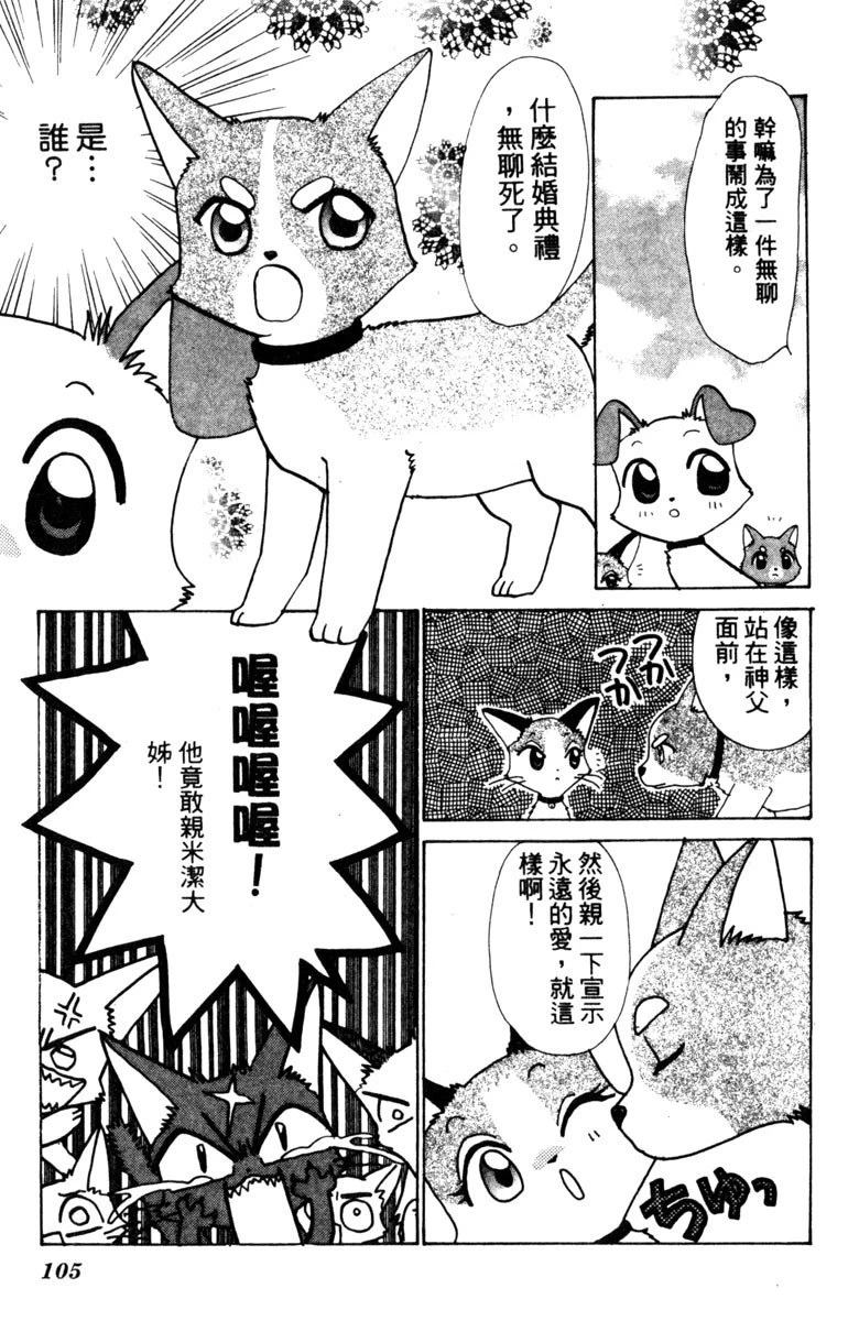 第107页