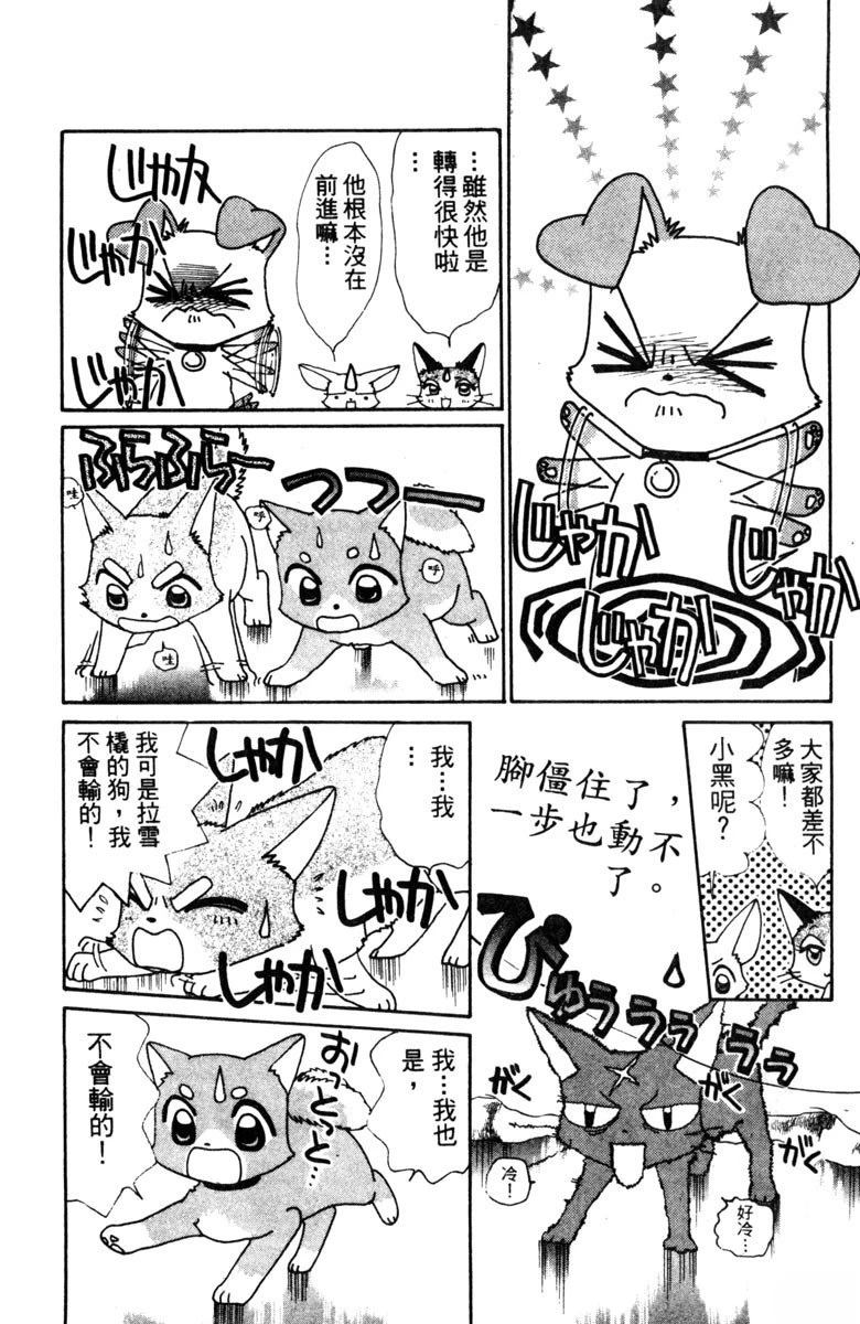 第176页