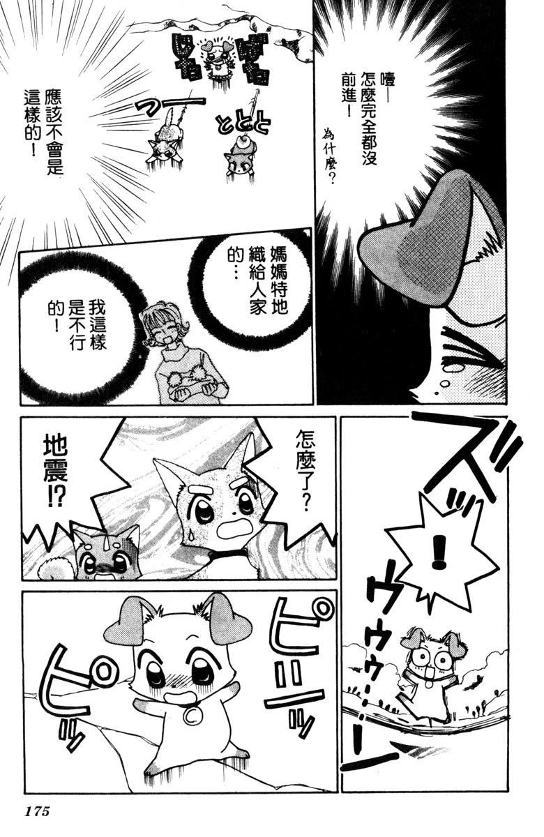 第177页