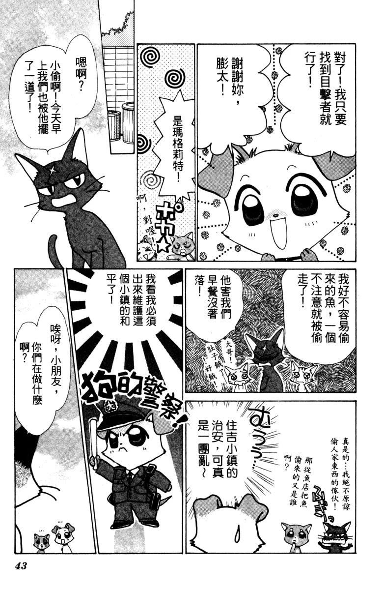 第45页