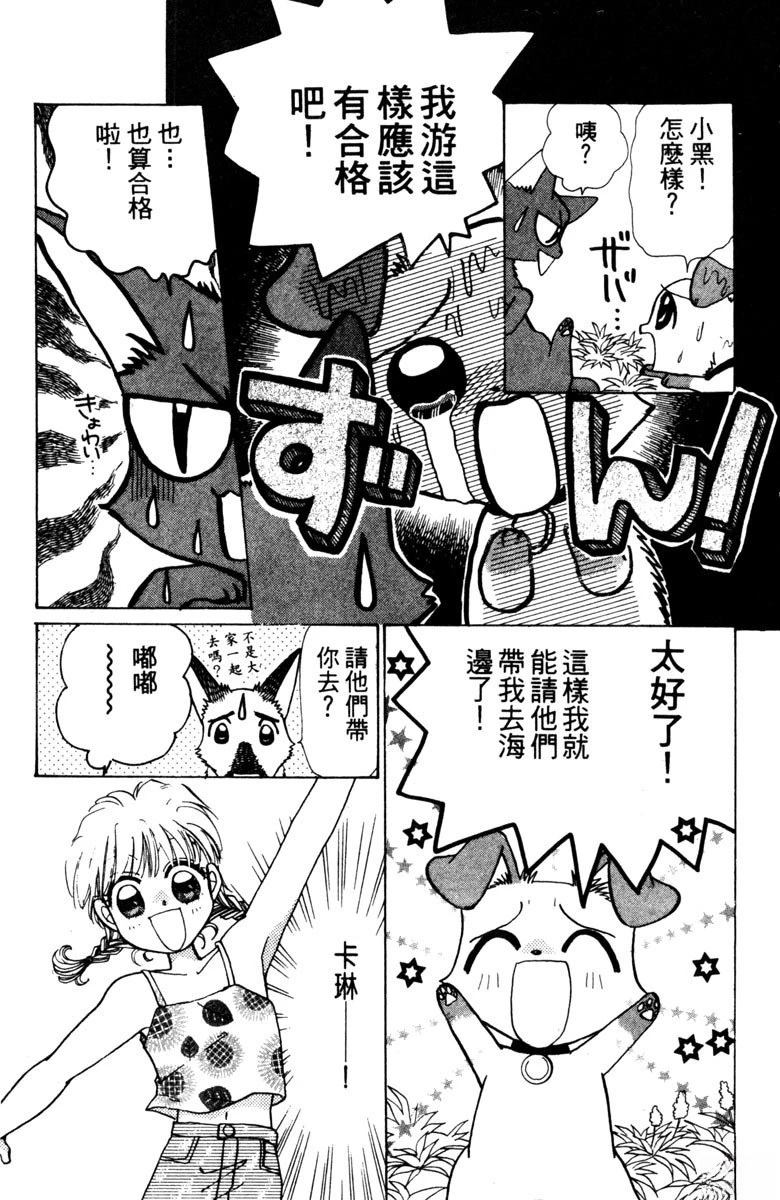 第81页