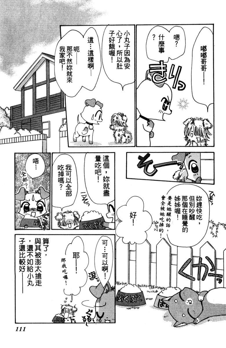 第113页