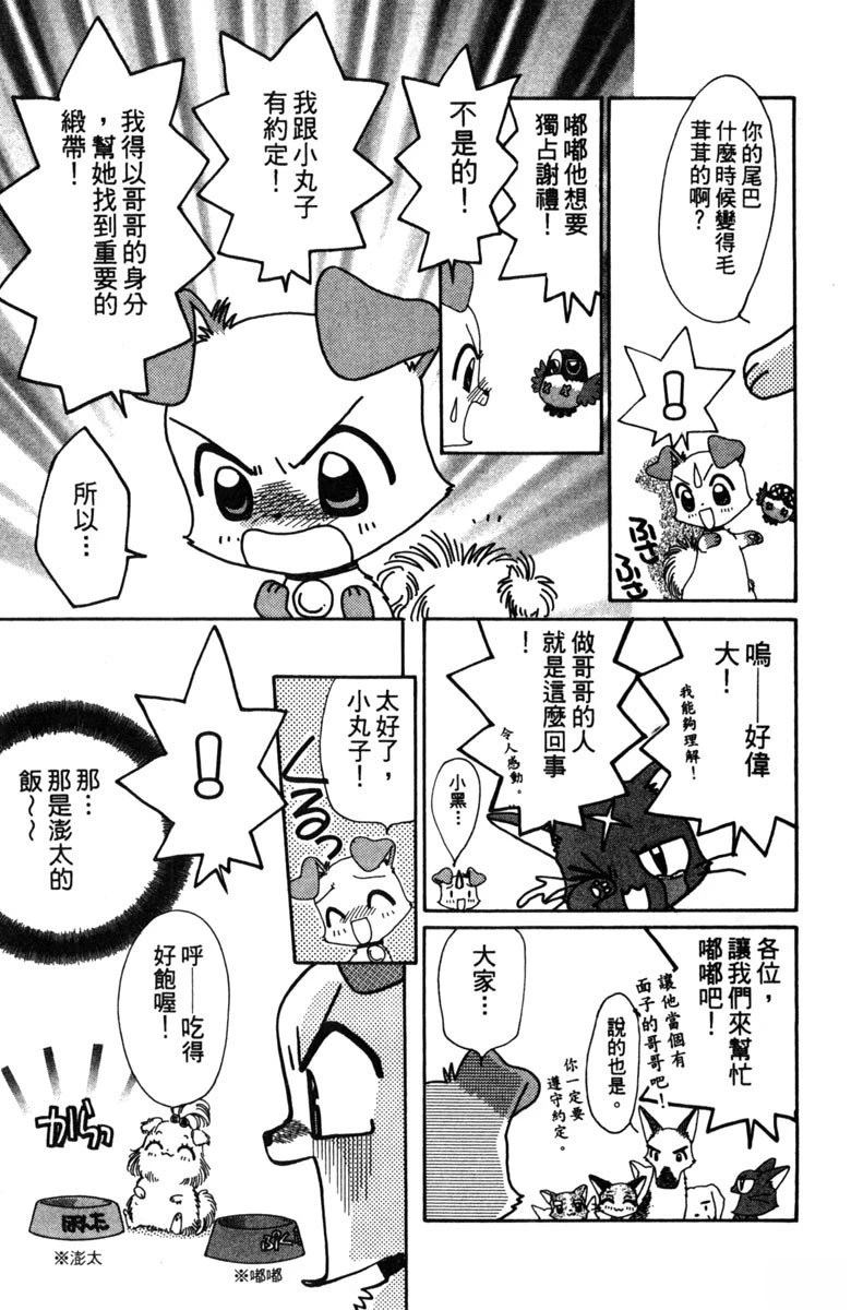 第117页