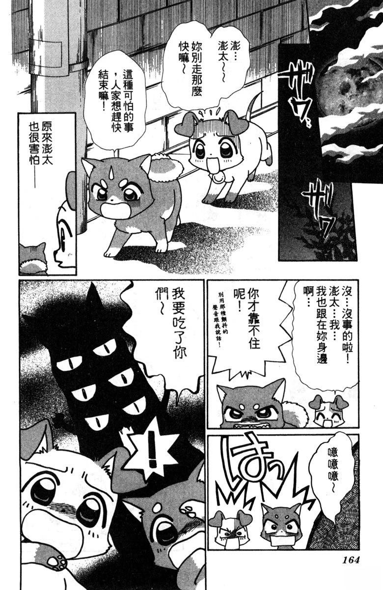 第166页