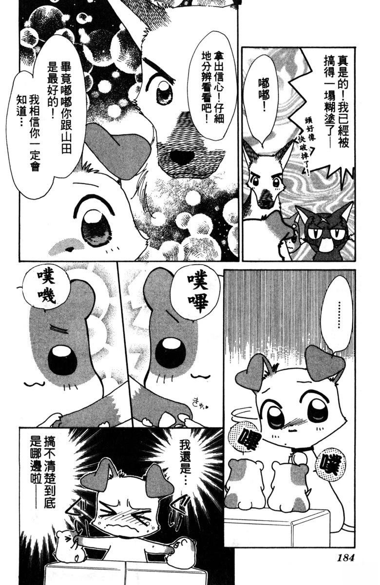 第186页