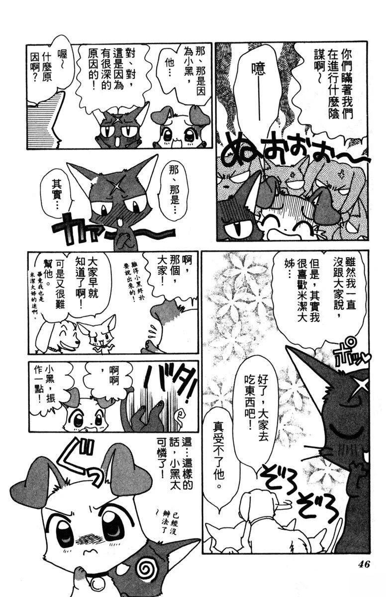 第48页