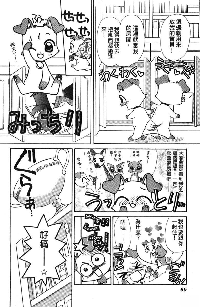 第62页