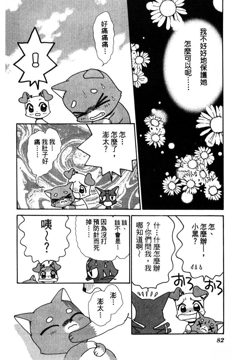 第84页