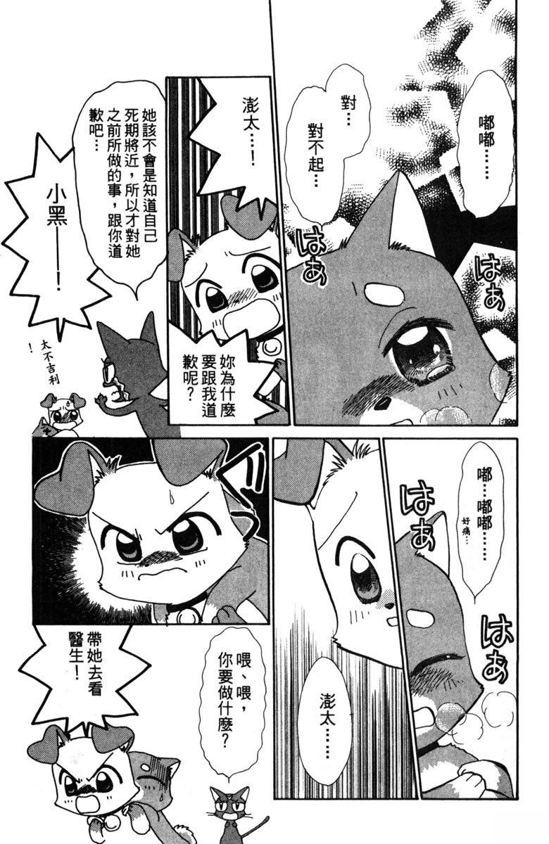 第85页