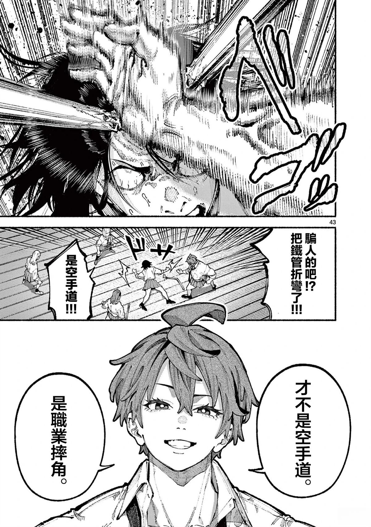 第43页