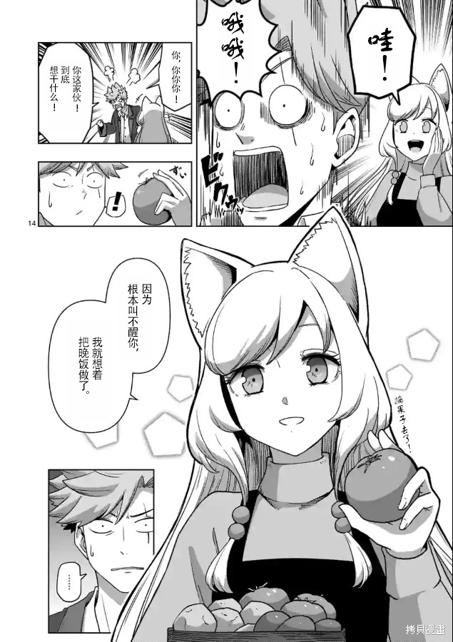 第14页